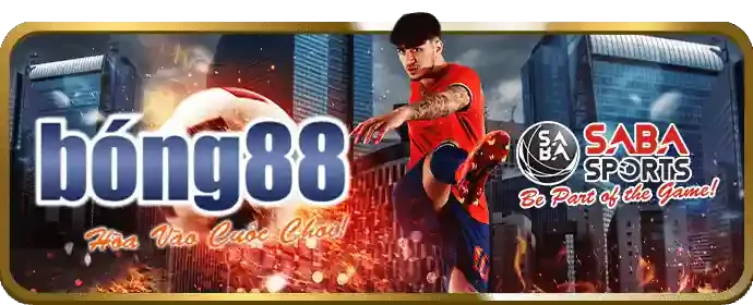 Hỗ trợ khách hàng 24/7 của DV88